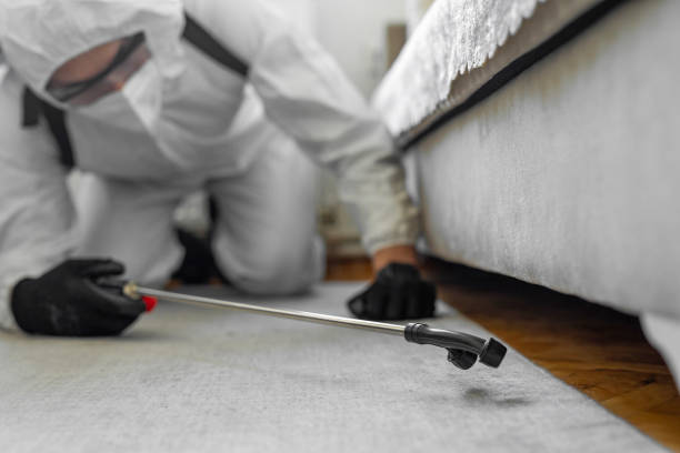 Professional Bed Bug Control technician working in Walterboro, SC