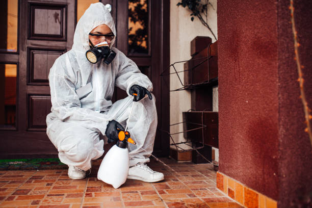Reliable Bed Bug Control contractor in Walterboro, SC by Nex Pest Control